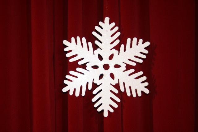 gal/2010/2010 Saitentwist Haus Fuhr Werden 4.12.Rotnasen und Gluehwangen/2010 Saitentwist Haus Fuhr Werden 4.12. Rotwangen u Gluehnasen 008.jpg